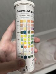 22 weeks pregnant and +++ protein in urine as well as pain