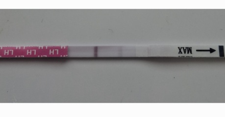 OPK Help