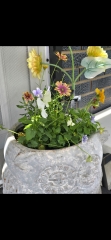 May flowers & spring cleaning - flylady style