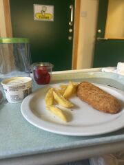 Hospital food