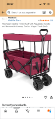 Beach/festival wagon recommendation