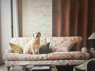 Sofa.com - Help!