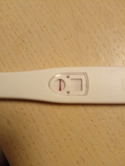 Pregnancy test