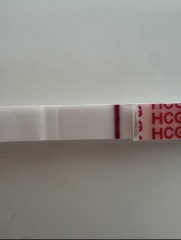 Confused by conflicting ovulation dates on Premom and Fertility Friend