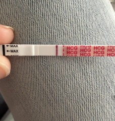 Confused by conflicting ovulation dates on Premom and Fertility Friend