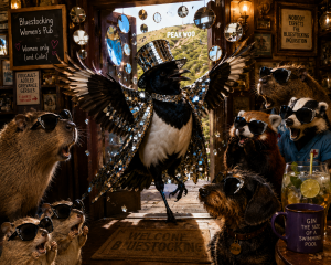 The Bluestocking Pub: Infinite Cocktails, Questionable Logistics