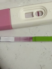 Can anyone help interpret these ovulation and pregnancy test results?