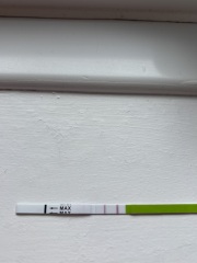 Postive ovulation test?