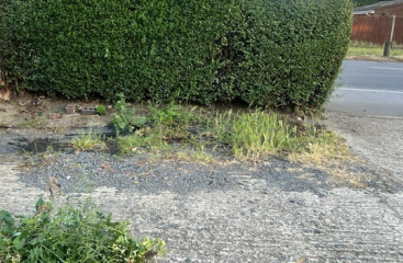 Front driveway
