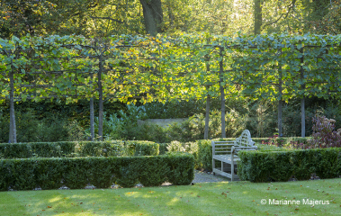 Increasing fence height to improve privacy in the garden - help!