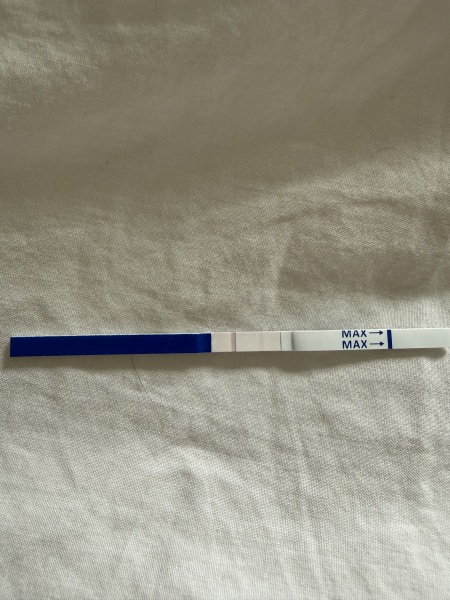 Pregnant with expired tests?