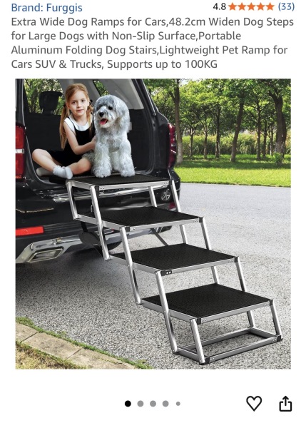 Recommendations for a car ramp for a Labrador