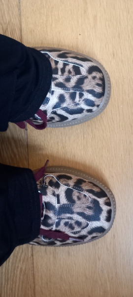 Leopard print shoes - AIBU?!