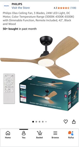 Ceiling fans - anyone got one?