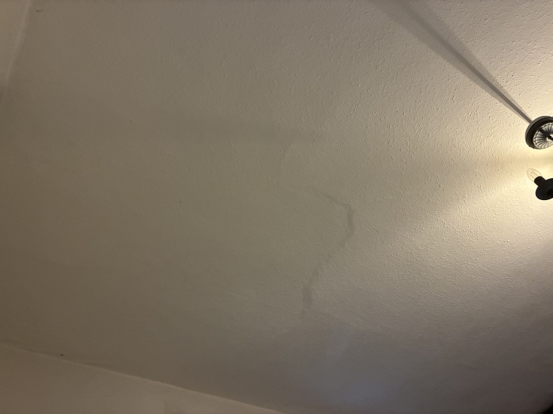 Bumps in lath and plaster ceiling