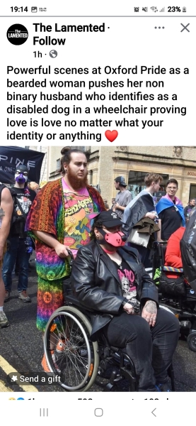 Does anybody else dislike Pride?