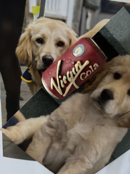 Did you drink Virgin Cola?