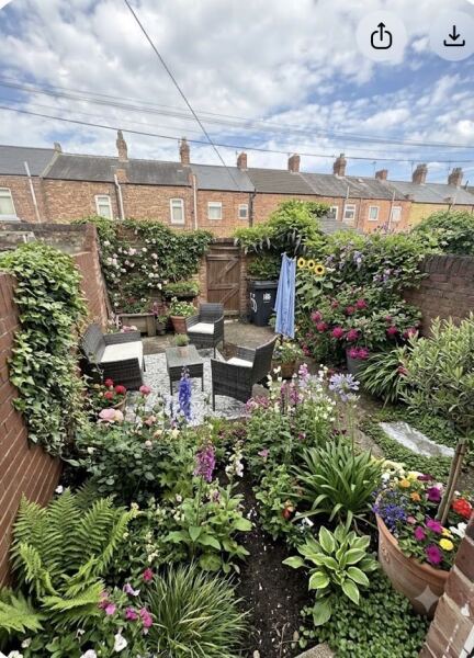 Any ideas for my garden