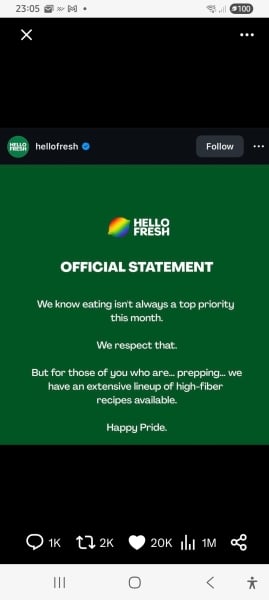 AIBU to find HelloFresh's Pride post grim?