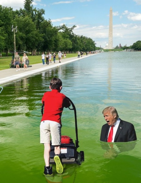 Flaming June - Will The Wheels Finally Fall Off Don Snoreleone's Bus? - Trump Thread #165
