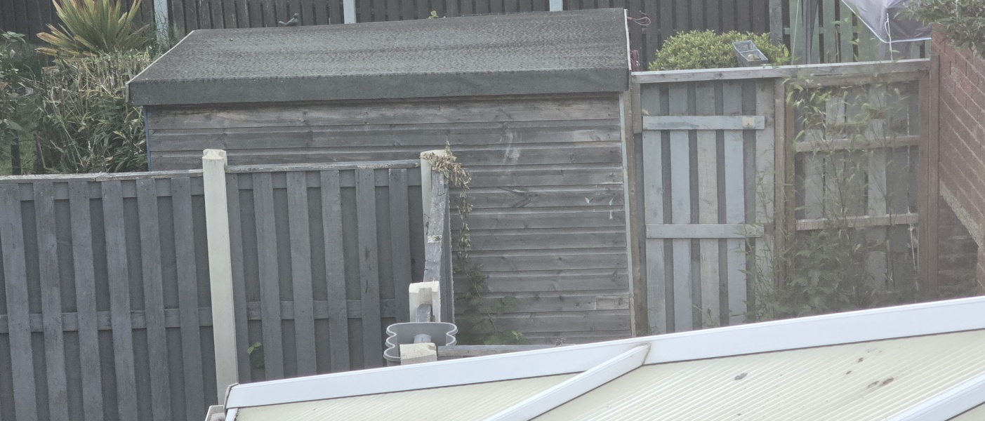 What have you done in the garden today? Part 8
