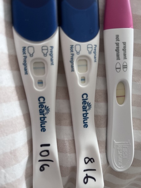 Due Feb 2027