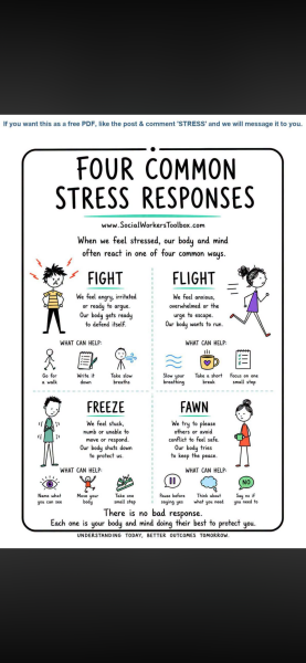 Acute physical response to stress