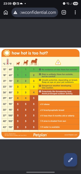 Is a secure field walk safe for my dog in 30 degree heat?