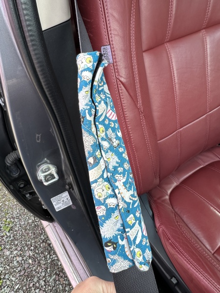 How can I deal with my adult daughter refusing to wear a seatbelt?