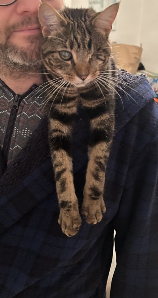 Is this a known cat pose or is mine just a (beautiful) weirdo?