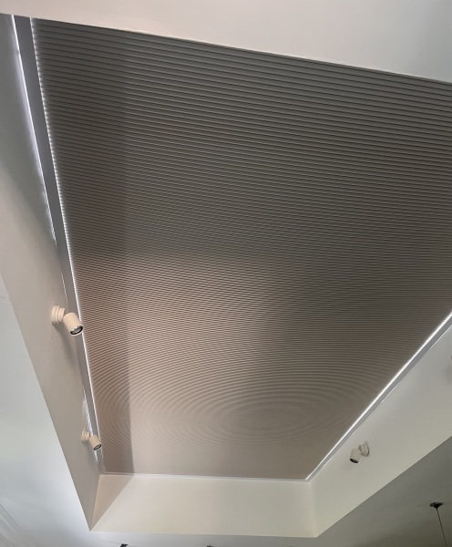 Do you have a lantern type roof light eg in the kitchen? Do you have any shades/blinds on it?