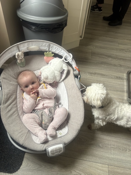 Due January 2026 - Thread 4