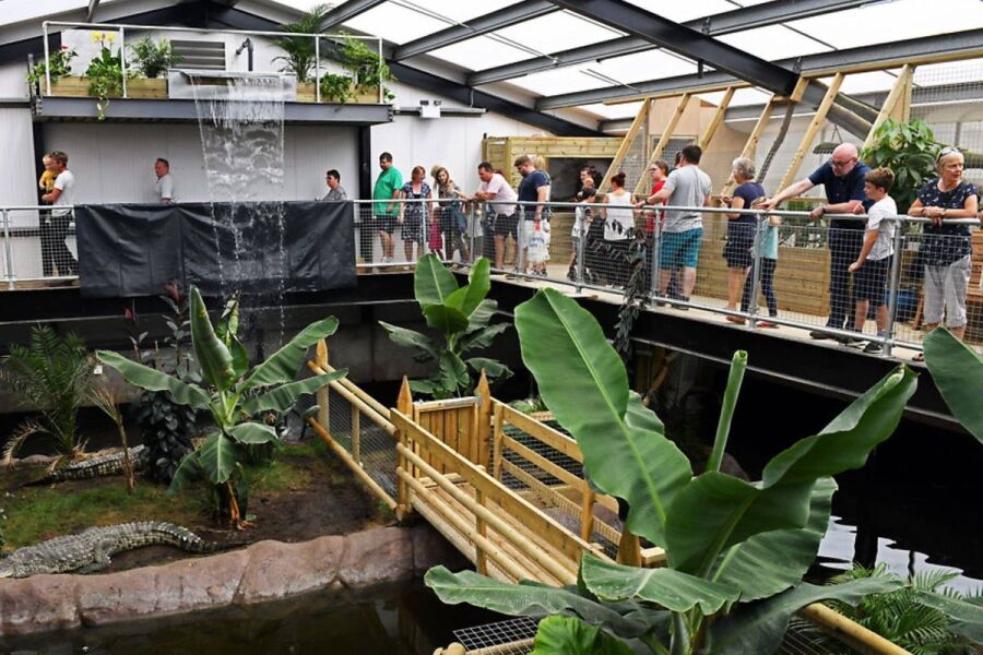 AIBU to think a man accused of throwing a child into a crocodile enclosure should not get bail?