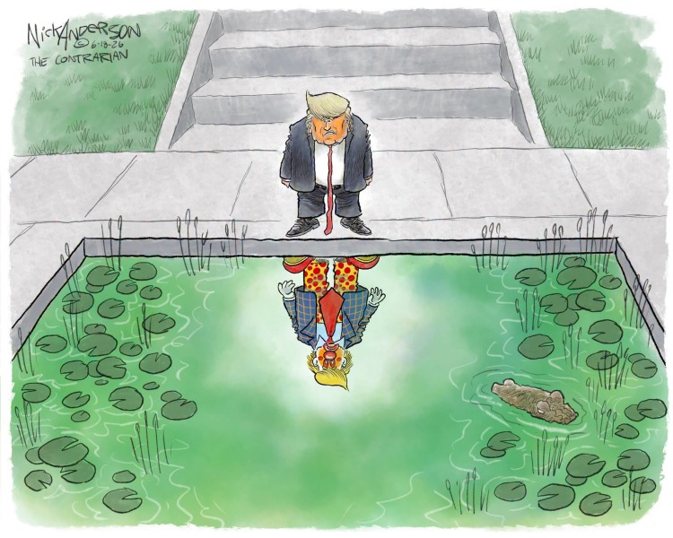 Green Is The New Blue - Trump Thread #166
