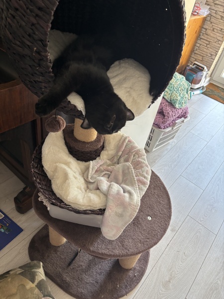 AIBU for shouting after being locked out with my sick child?
