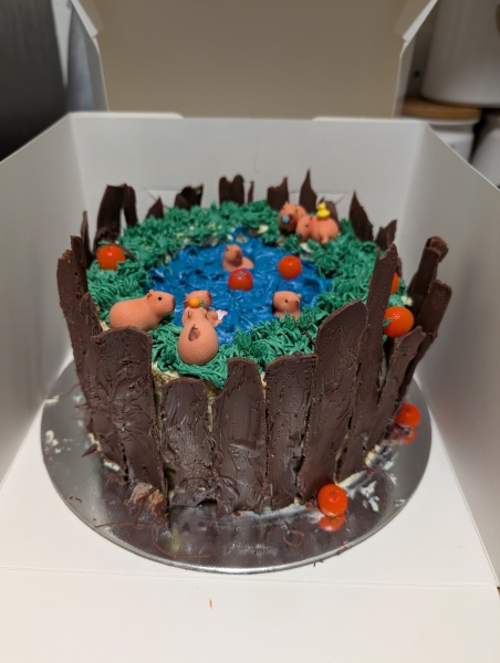 Is this cake embarrassing?