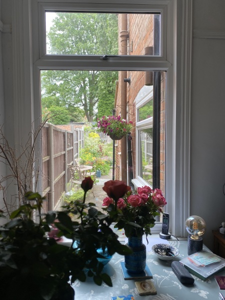 Why do people want to rip every plant out of their gardens?!