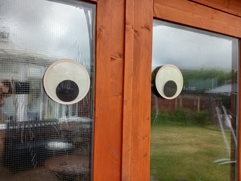 Nervous garden shed