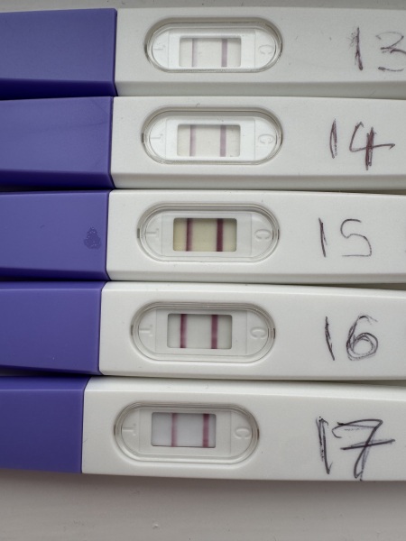 Due Feb 2027