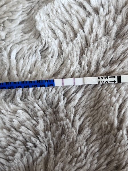 AIBU to think this ovulation test result looks positive
