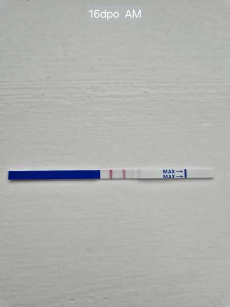 One step tests..