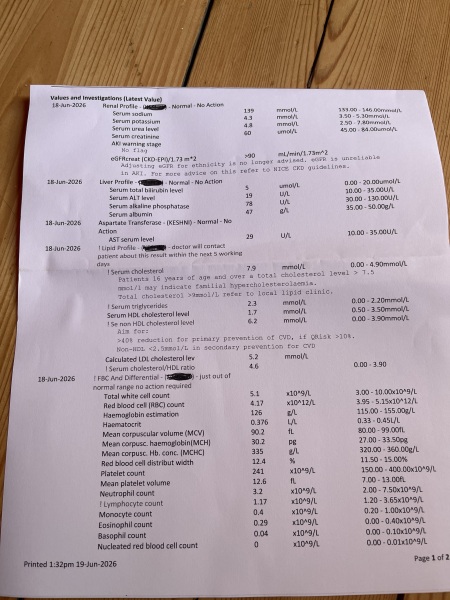 Blood results-cholesterol