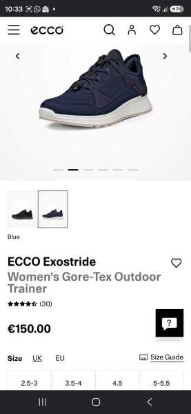 Lightweight,  waterproof trainers??