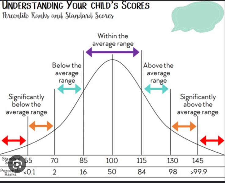Upset about sons school test scores