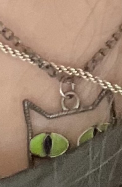 Can anyone identify my lost cat pendant necklace - gift from my child from a charity shop?