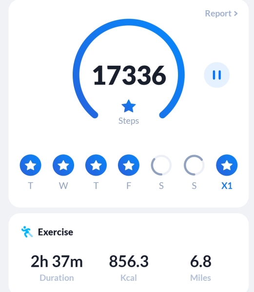 15,000 steps doable?