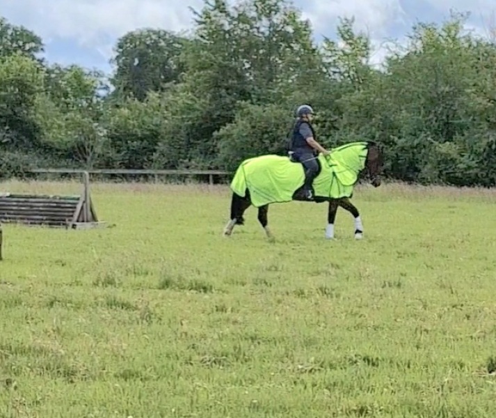 What are your 2026 Horsey Plans?