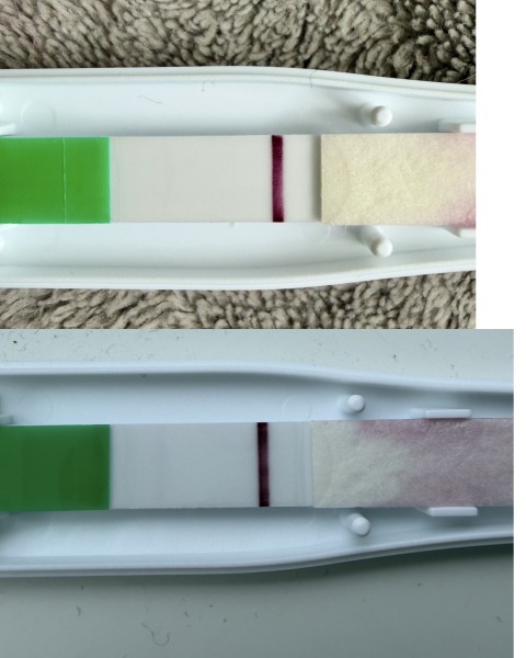 Faint Lines and a chemical last cycle