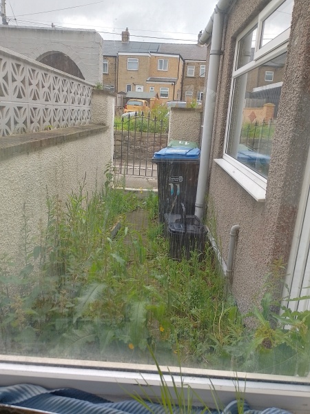 Help the triffids are going to get me!
