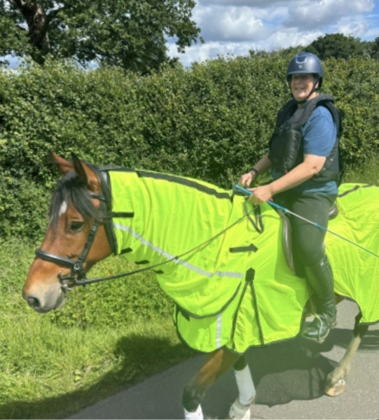What are your 2026 Horsey Plans?